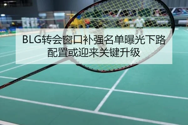 BLG转会窗口补强名单曝光下路配置或迎来关键升级