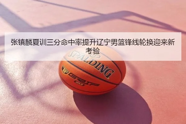 张镇麟夏训三分命中率提升辽宁男篮锋线轮换迎来新考验